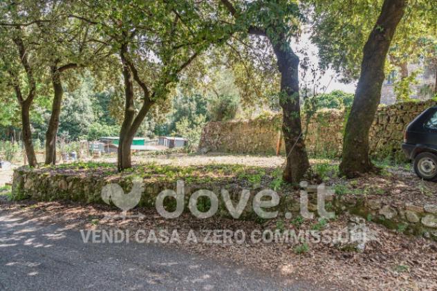 Rustico / Casale di 300 m² con più di 5 locali e posto auto in vendita a Casole d'Elsa - Foto 5