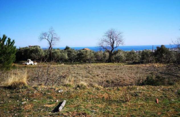 Immobile in asta di 7080 m² in vendita a Ceriale - Foto 6