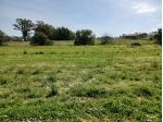 Vendesi terreno agricolo di mq 3200
