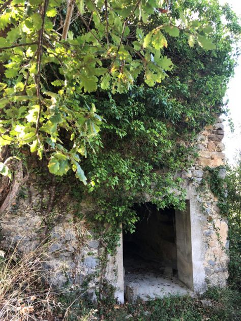 Roccadaspide loc.Cesine terreno con uliveto e ruderi - Foto 2