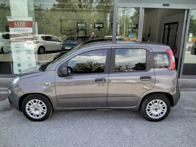FIAT Panda 1.0 FireFly S&S Hybrid rif. 23905172 - Foto 9