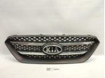 GRIGLIA RADIATORE KIA Carens 2° Serie 86380-10000 D4FB (06)
