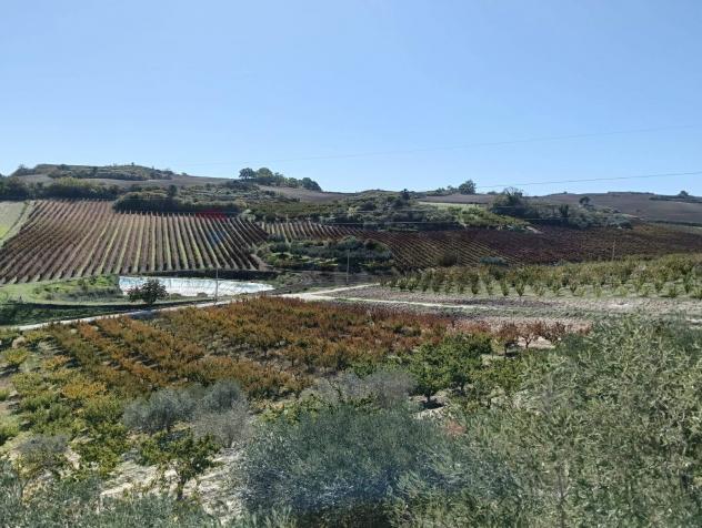 Terreno in vendita a Caltagirone - Foto 2