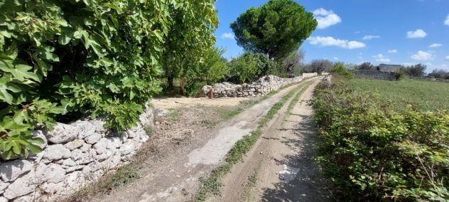 CON CASOLARE – AMPIA CAMPAGNA - Foto 4