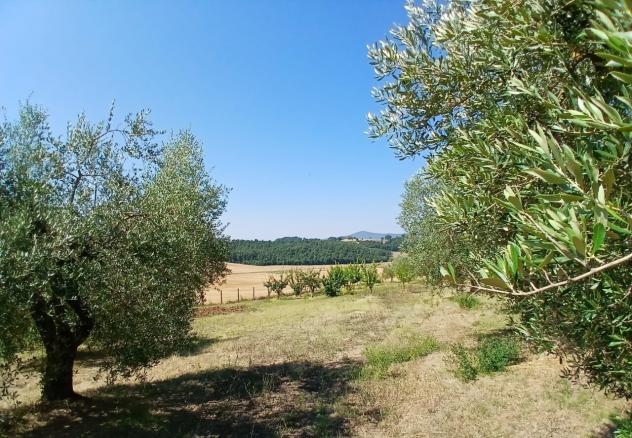 Rustico in vendita a Montecastrilli - Foto 15