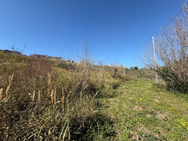 Agricolo in Contrada Pezze - Foto 6