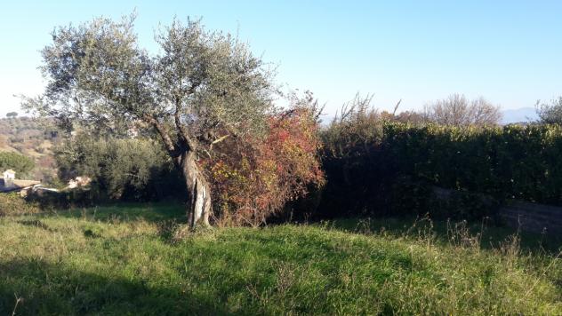 Terreno edificabile in vendita a Morlupo - Foto 6