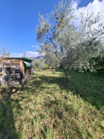 TERRENO AGRICOLO IN VENDITA Palombara Sabina (RM) - Foto 4