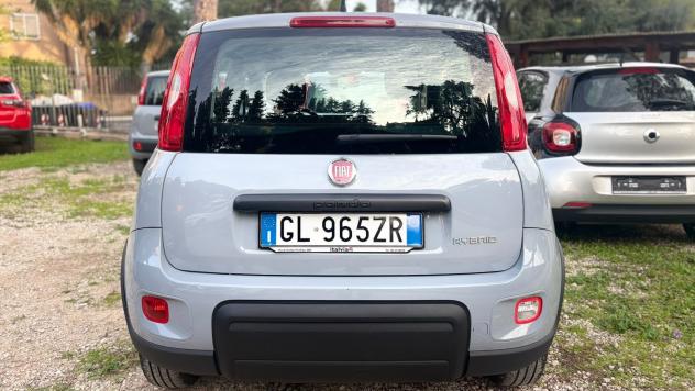 FIAT Panda Panda 1.0 firefly hybrid s&s 70cv 12 MESI DI GARANZIA - Foto 4
