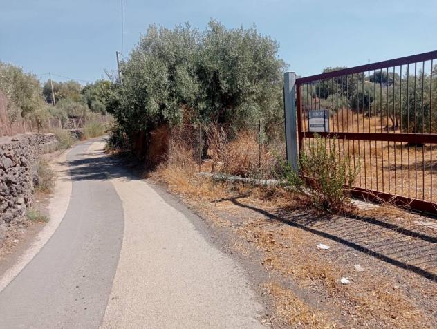 Terreno Agricolo - Belpasso . Rif.: 33367 - Foto 3