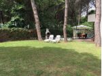 Appartamento in affitto a Rosignano Marittimo 60 mq  Rif: 702472