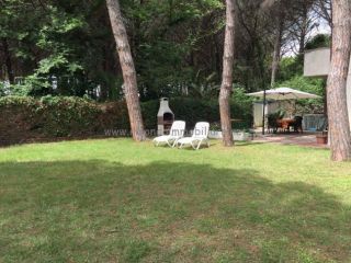 Appartamento in affitto a Rosignano Marittimo 60 mq Rif: 702472