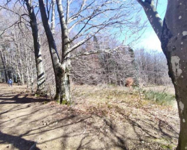 Immobile in asta di 130855 m² in vendita a Verghereto - Foto 15