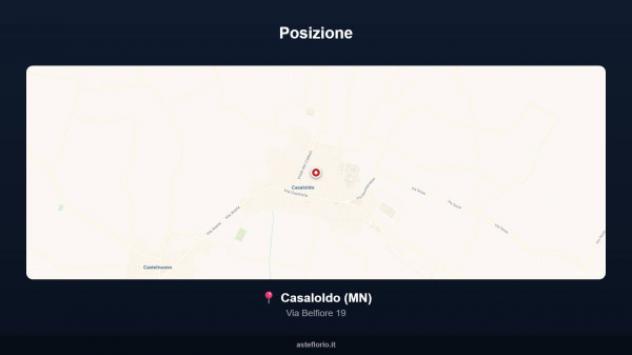 Immobile in asta di 160 m², box auto in vendita a Casaloldo - Foto 12