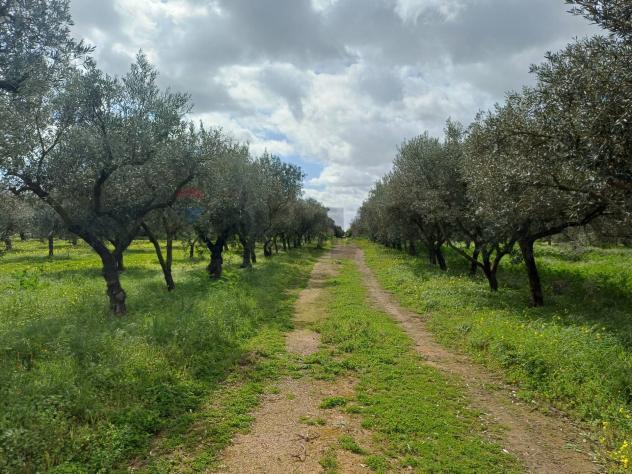 Villa singola in vendita a Chiaramonte Gulfi - Foto 6