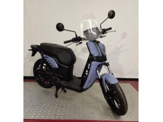 FANTIC MOTOR Scooter L1 ISSIMO CITY