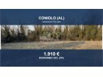 Immobile in asta di 2560 m² in vendita a Coniolo