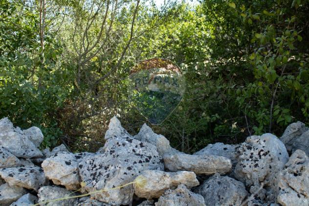 Terreno in vendita a Noto, Testa Dell'acqua - Foto 10