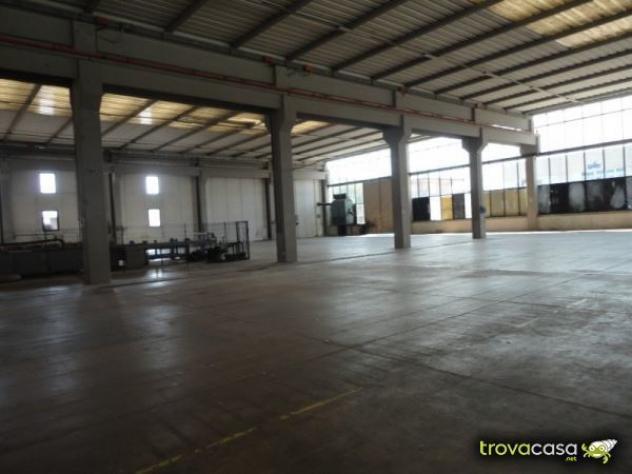 Industriale/Artigianale in vendita a Capannori - Foto 10