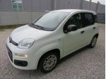 FIAT Panda 1.2 Easy S&S 1200 C.C. rif. 24043213