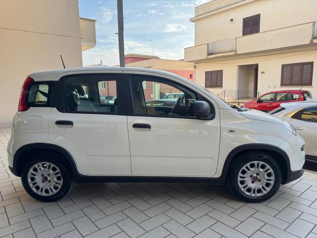 Fiat Panda 1.0 FireFly S&S Hybrid Icon - Foto 4