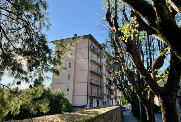APPARTAMENTO di 7 vani e di 133 mq (PIETRASANTA - Pietrasanta ) rif. 604/VE