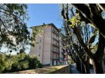 APPARTAMENTO di 7 vani e di 133 mq (PIETRASANTA - Pietrasanta ) rif. 604/VE