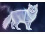 Corso di Terapia Spirituale per Animali Online