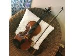 Violinista x musica durante il matrimonio Cernusco