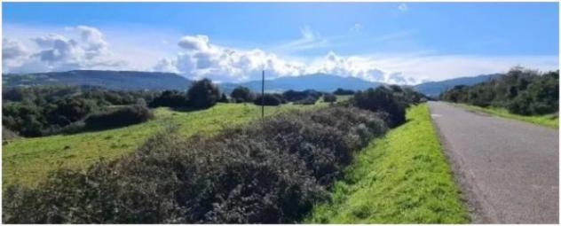 Immobile in asta di 6885 m² in vendita a Fordongianus - Foto 3