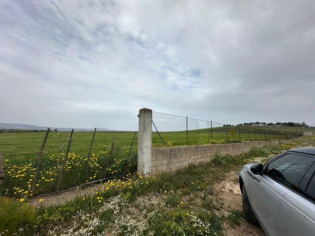 TERRENO SEMINATIVO RECINTATO 30.000 MQ. - 60.000 EURO - Foto 3