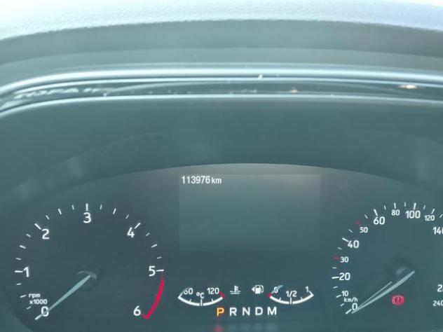 FORD Focus 2.0 EcoBlue 150 CV c.auto ST-Line Co-Pilot my2020 rif. 23900576 - Foto 4