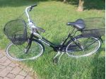 Bici Donna Bianchi Portofino
