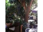 B&B The Garden