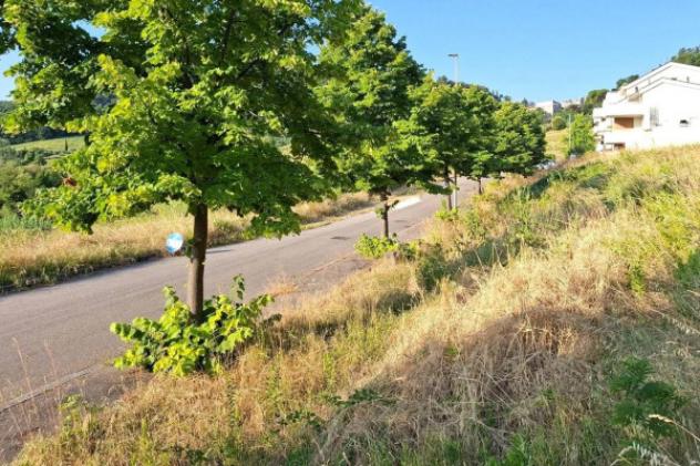 Immobile in asta di 2888 m² in vendita a Bertinoro - Foto 12