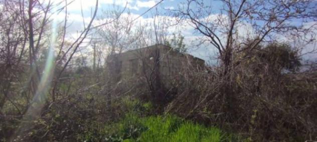 Immobile in asta di 2280 m² in vendita a Roseto degli Abruzzi - Foto 10