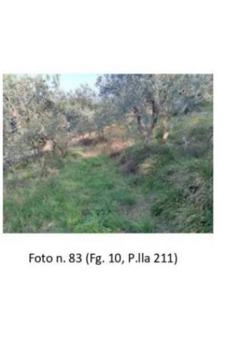Immobile in asta di 7490 m² in vendita a Spello - Foto 6