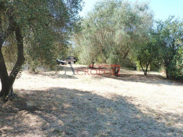VILLA UNIFAMILIARE ANGUILLARA-CENTRO - VIA COLLE BIADARO - Foto 6
