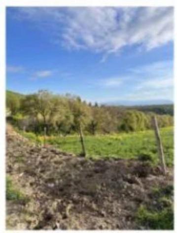 Immobile in asta di 825 m² in vendita a Moscufo - Foto 2