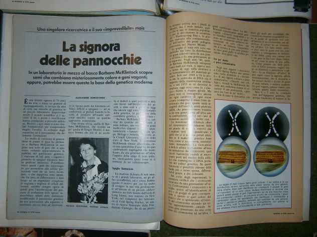 Riviste "Scienza & vita nuova. Mensile 1980 annata completa" - Foto 7