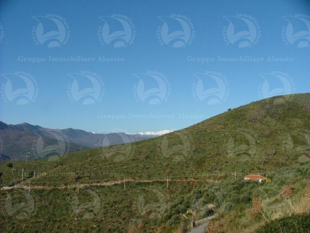 Alassio Andora, terreno incolto collinare, vista mare. - Foto 8