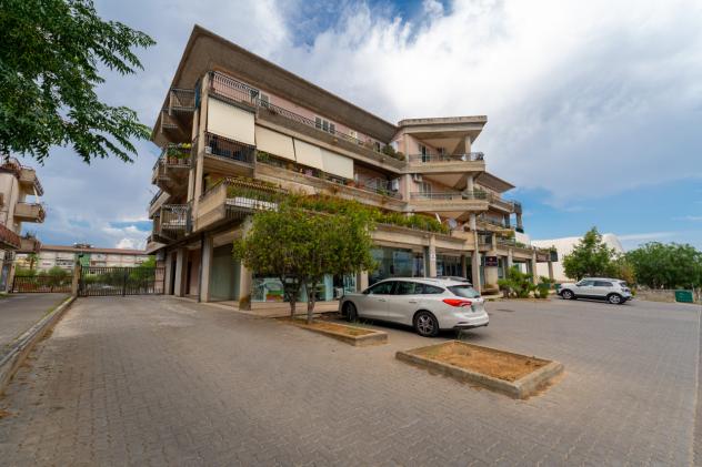 Oltre 3 vetrine in vendita a Caltagirone - Foto 10