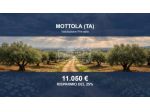 Immobile in asta di 13127 m² in vendita a Mottola