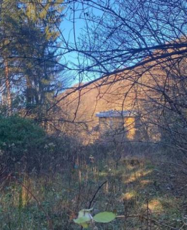 Immobile in asta di 19680 m² in vendita a Valganna - Foto 7
