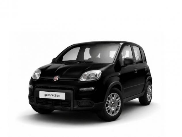 FIAT Pandina HYBRID 1.0 65cv Hybrid Pop