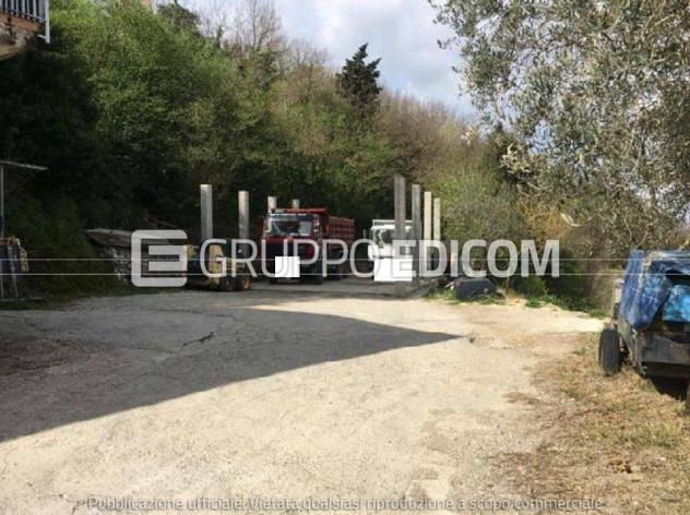 Terreno di 20393 mq in vendita a Chianche - Rif. 4551908 - Foto 5