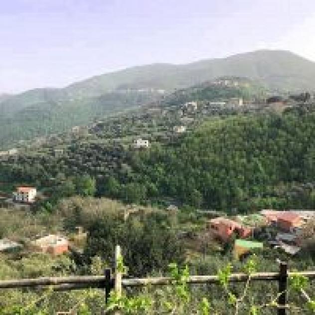 Colle Uliveto B&B - Foto 3