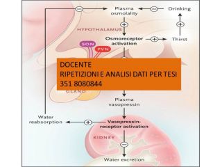lezioni chimica fisiologia molecolare