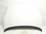 COFANO ANTERIORE FIAT Punto EVO 51701140 (0912)