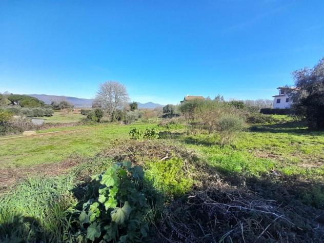 Terreno Edificabile - Rif. 2365 - Foto 12